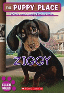 Ziggy