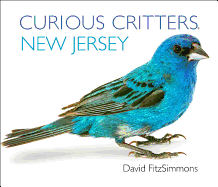 New Jersey