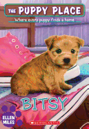 Bitsy