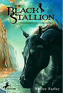 The Black Stallion