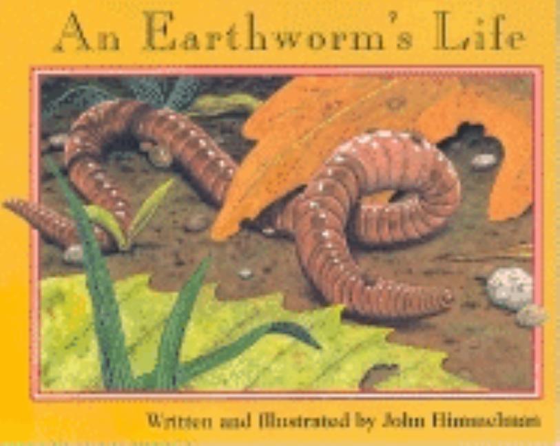 An Earthworm's Life