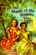 In the Shade of the Nispero Tree