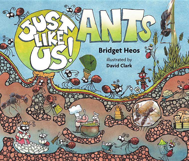 Ants