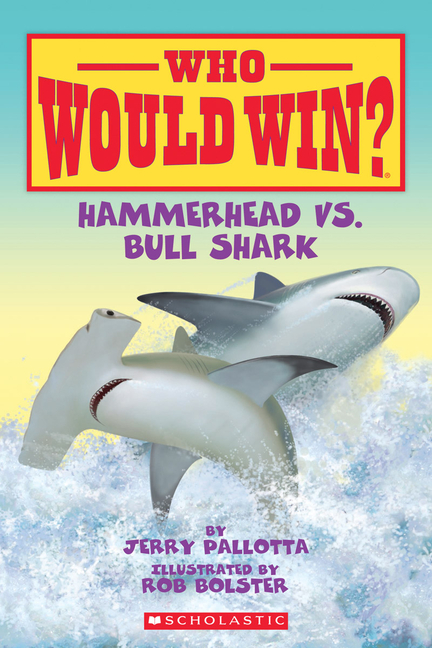 Hammerhead vs. Bull Shark