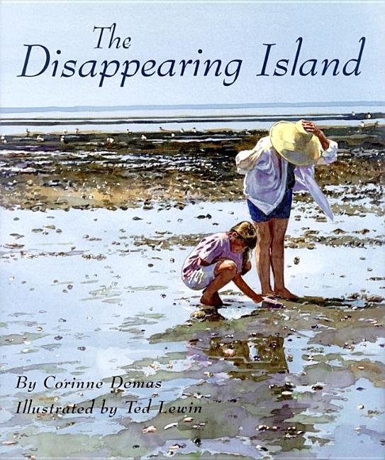 The Disappearing Island