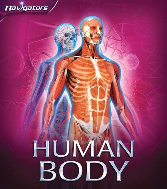 Human Body