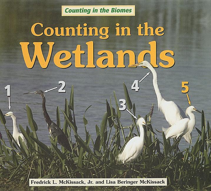 Counting in the Wetlands