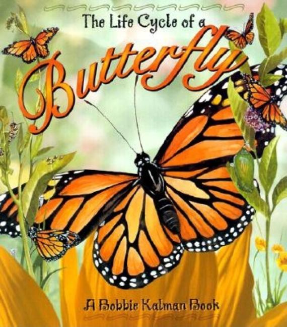 The Life Cycle of a Butterfly