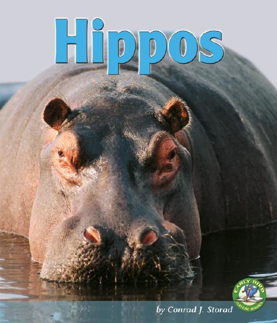 Hippos