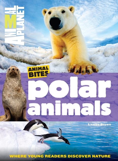 Polar Animals