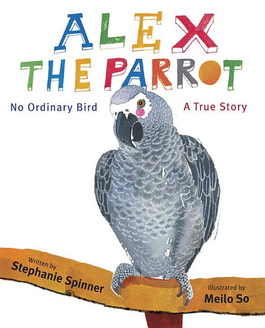 Alex the Parrot: No Ordinary Bird