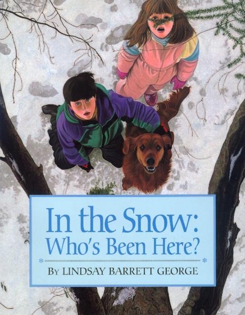 In the Snow: Who's Been Here?