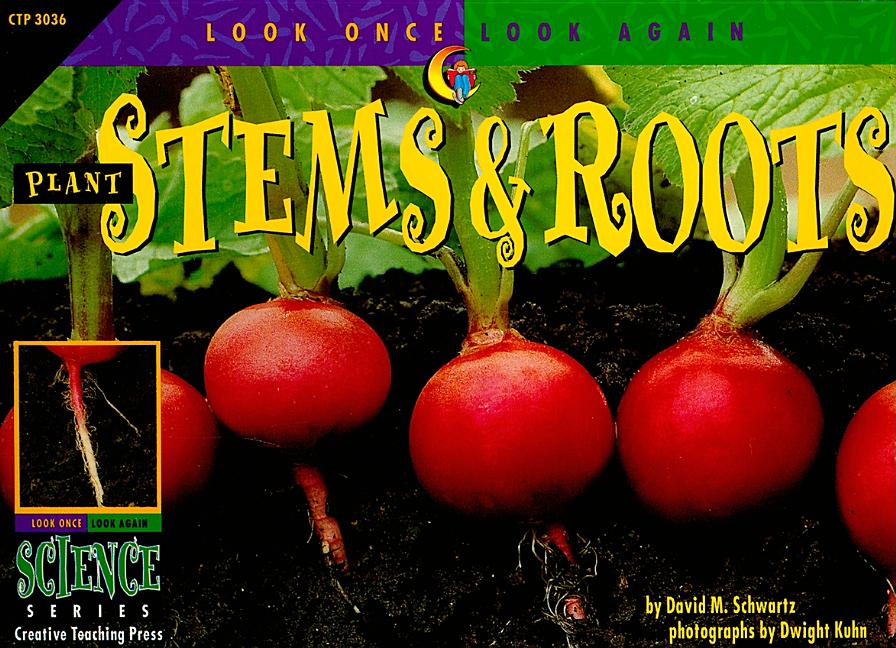 Plant Stems & Roots