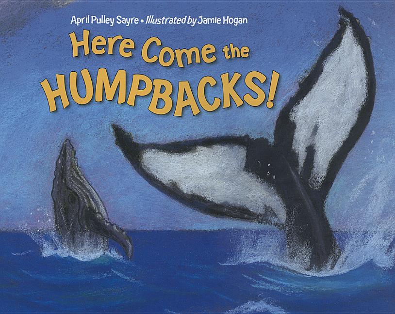 Here Come the Humpbacks!