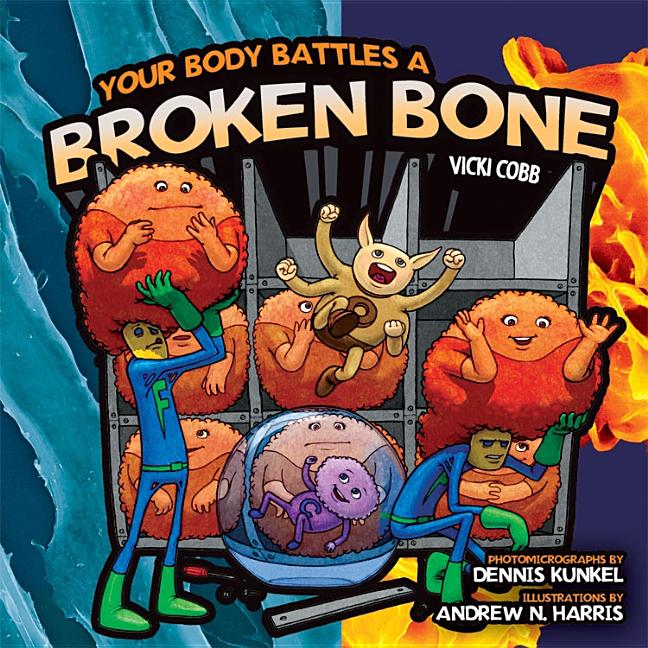 Your Body Battles a Broken Bone