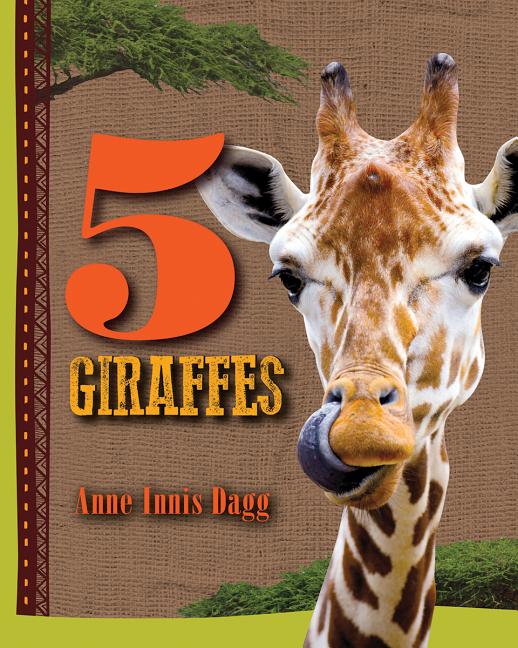 5 Giraffes