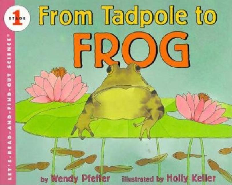 From Tadpole to Frog