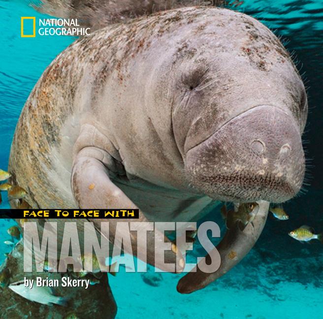 Face to Face with Manatees