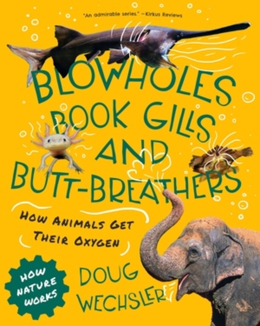 Blowholes, Book Gills, and Butt-Breathers: How Animals Get Their Oxygen