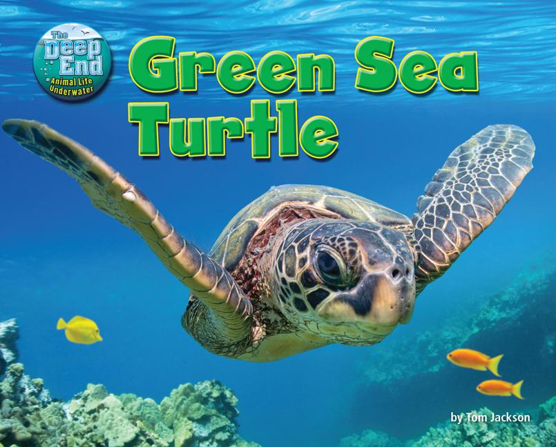 Green Sea Turtle