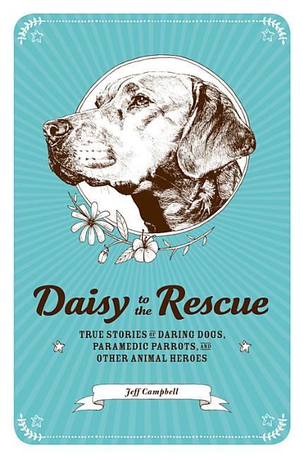 Daisy to the Rescue: True Stories of Daring Dogs, Paramedic Parrots, and Other Animal Heroes