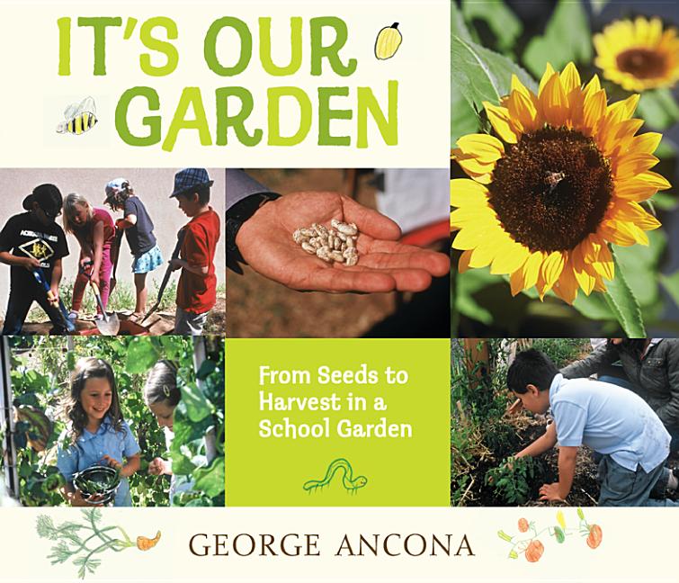 It's Our Garden: From Seeds to Harvest in a School Garden