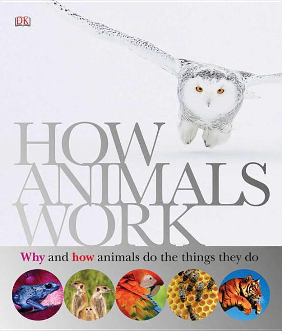 How Animals Work