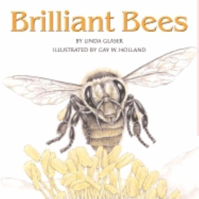 Brilliant Bees