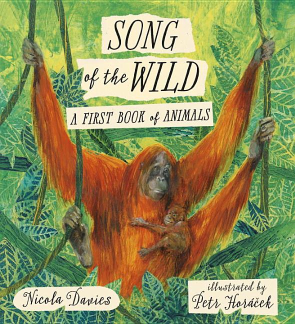 Song of the Wild: A First Book of Animals