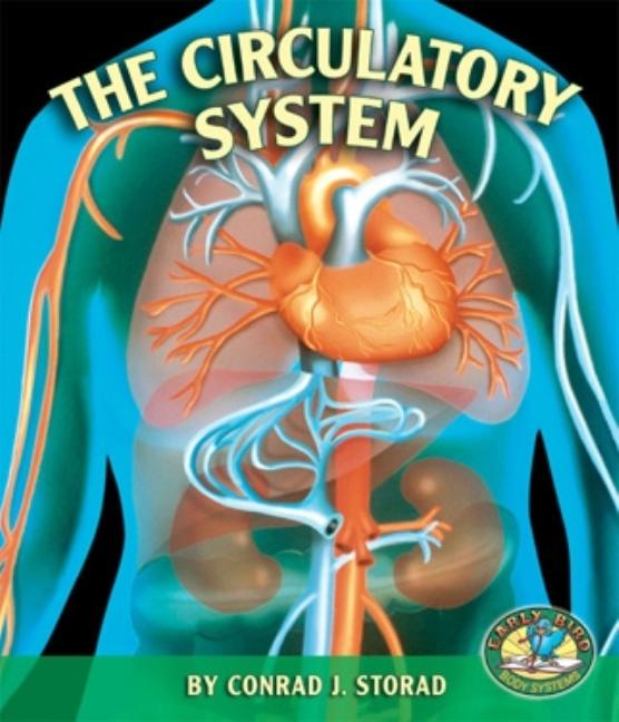 The Circulatory System