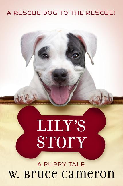 Lily's Story