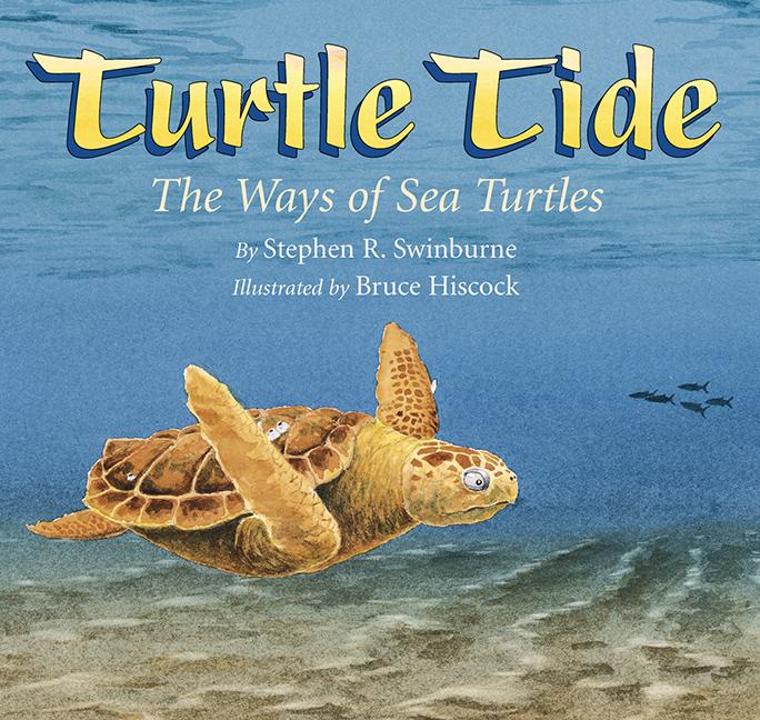 Turtle Tide: The Ways of Sea Turtles