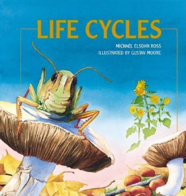 Life Cycles