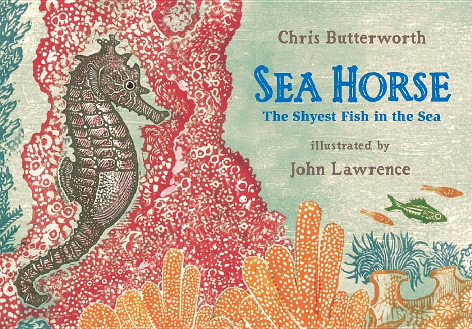 Sea Horse: The Shyest Fish in the Sea