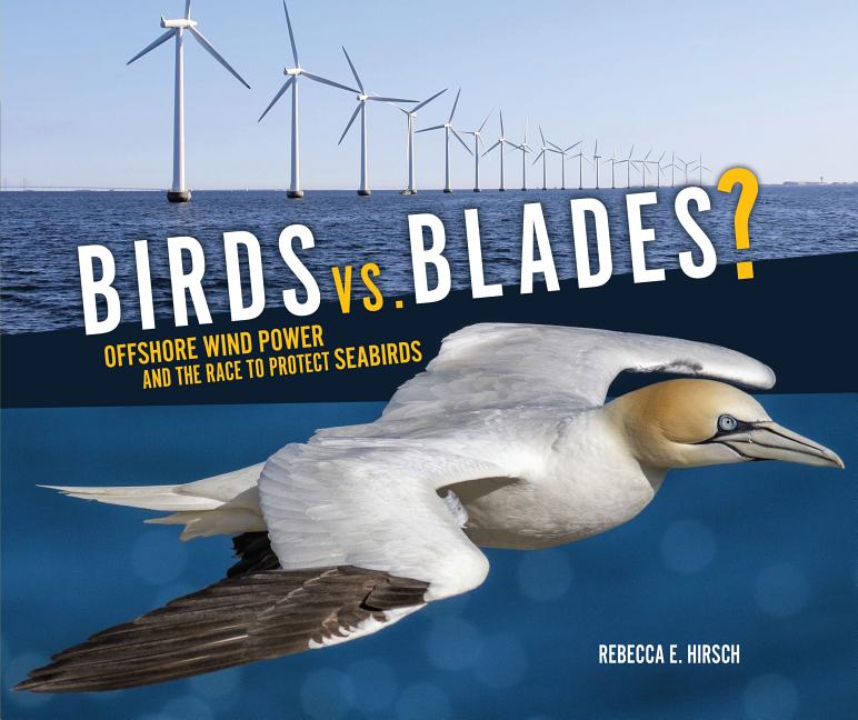 Birds vs. Blades: Offshore Wind Power and the Race to Save Seabirds