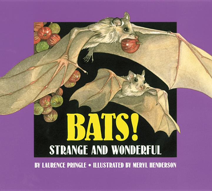 Bats!: Strange and Wonderful