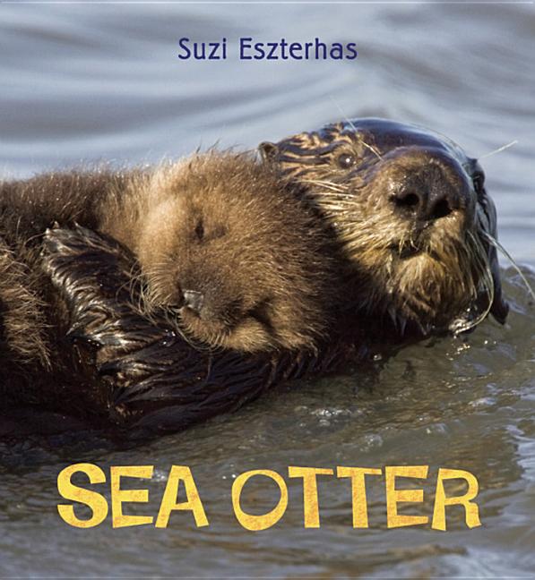 Sea Otter