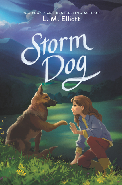 Storm Dog