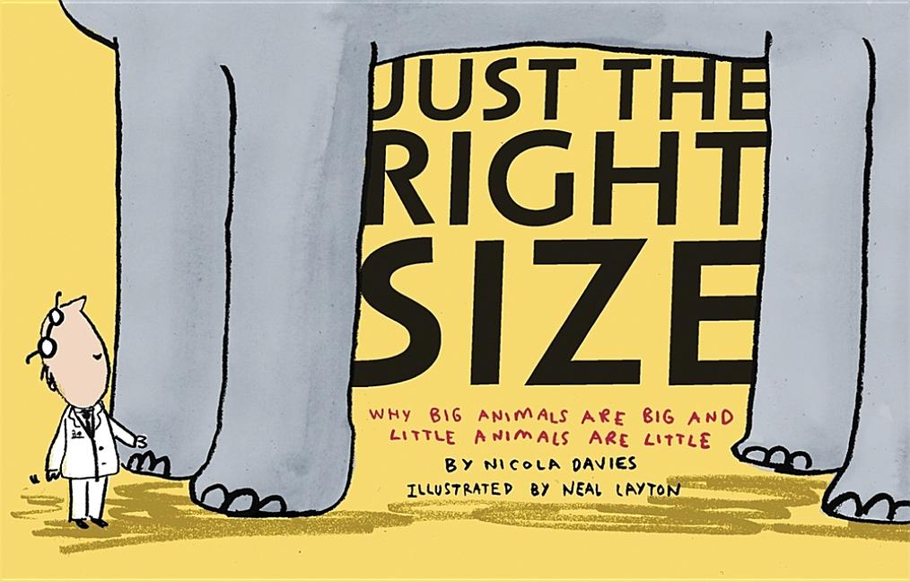 Just the Right Size: Why Big Animals Are Big and Little Animals Are Little