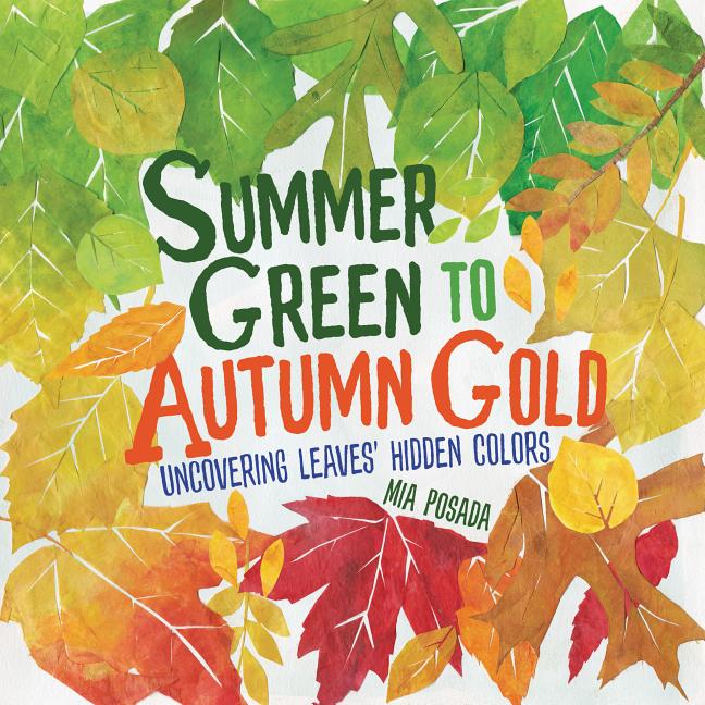 Summer Green to Autumn Gold: Uncovering Leaves' Hidden Colors