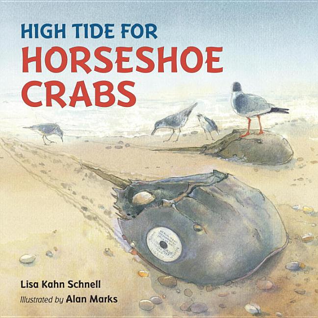 High Tide for Horseshoe Crabs