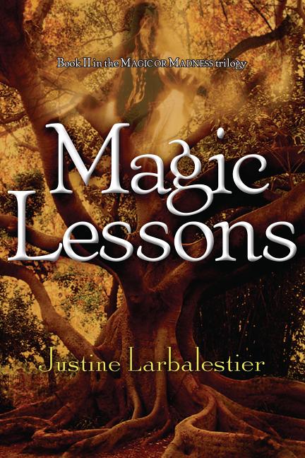 Magic Lessons