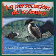 La persecución del colimbo
