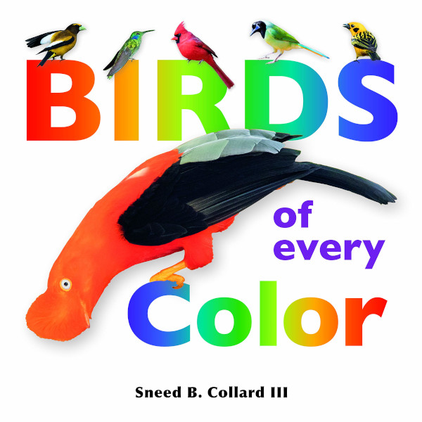 Birds of Every Color