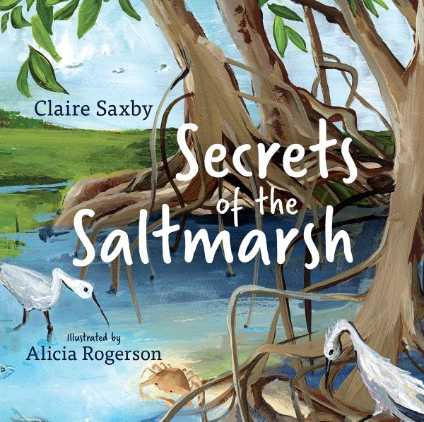 Secrets of the Saltmarsh